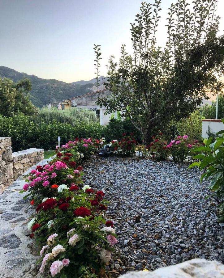 Bed and Breakfast La Pergola Santa Lucia del Mela Esterno foto